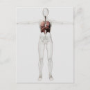 Recherche de vue 3d cartes postales Transparent