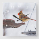 Search for cardinal clocks Wildlife