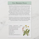 Search for illustrator flyers Customer