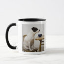 Recherche de cuvette tasses Plan rapproché