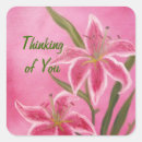 Search for stargazer stickers Pink