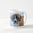 Recherche de chien de st bernard tasses Animal