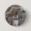 Search for red tail buttons Birds