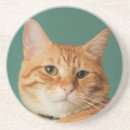 Recherche de chat minou de dessous de verres Animal