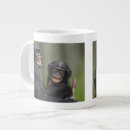 Recherche de jeunes animaux tasses Image couleur