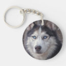 Search for siberian husky keychains Winter