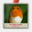 Search for breast ornaments Robin red breast