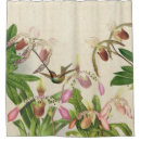 Search for arts and crafts shower curtains Birds