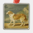 Recherche de colley ornements Chiens