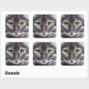 Search for kitty cat face stickers Black and white