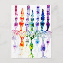 Recherche de neurones cartes postales Biologie