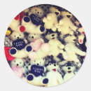 Search for plushies stickers Animal