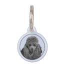 Recherche de caniche animaux articles Miniature