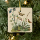 Search for caterpillar ornaments Butterflies
