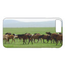 Search for grassland cases Nature