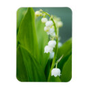 Recherche de bouquets magnets Feuille