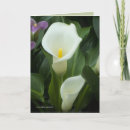 Search for pure cards White