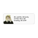 Search for bald eagle return address labels Photography
