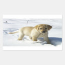 Search for yellow lab puppy stickers Cute
