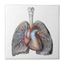 Recherche de infirmière carreaux Santé