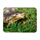 Recherche de bouche magnets Drôle