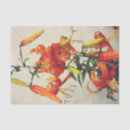 Recherche de lis 1 Fleur