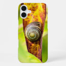 Recherche de mollusque iphone coques Toute personne