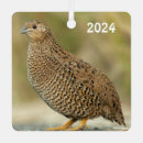 Search for quail ornaments Poultry