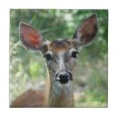 Search for doe tiles Wildlife