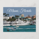 Search for crocodile horizontal postcards Miami