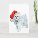 Search for bichon frise christmas cards Pets