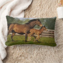 Recherche de poulain coussins Ranch