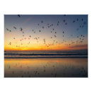 Search for venice beach art Sunset