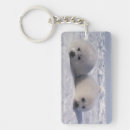 Search for seal pup keychains Marine life