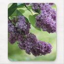 Search for shrub electronics Flora