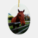 Search for country western ornaments Horses