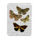 Recherche de mite magnets Steampunk