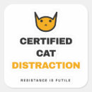 Search for certified stickers Kitten