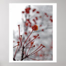 Search for upstate posters Autumn
