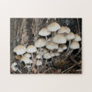 Search for cluster puzzles Nature