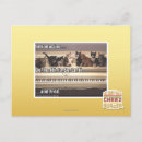 Search for fred postcards I can has cheezburger