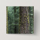 Search for old growth forest accessories National park