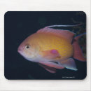 Search for sea side mousepads Nature