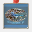 Search for blue jay ornaments Animal