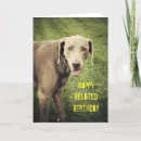 Search for weimaraner cards Funny