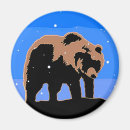 Search for grizzly bears magnets Alaska