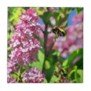 Search for bumble bee tiles Garden