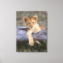 Search for kenya canvas prints Safari animals