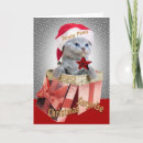 Recherche de shorthair vœux cartes Britannique