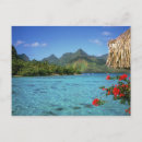 Recherche de polynésie française cartes postales Paradis